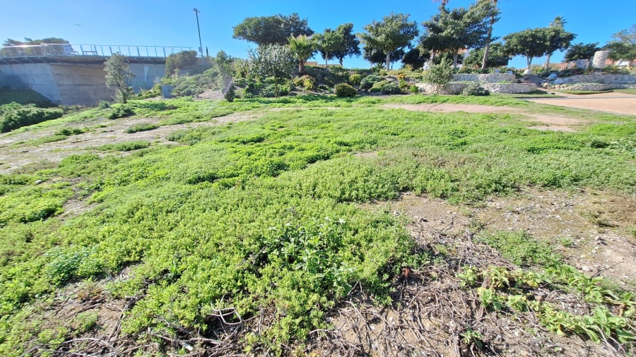 0 Bedroom Property for Sale in Port Owen Western Cape